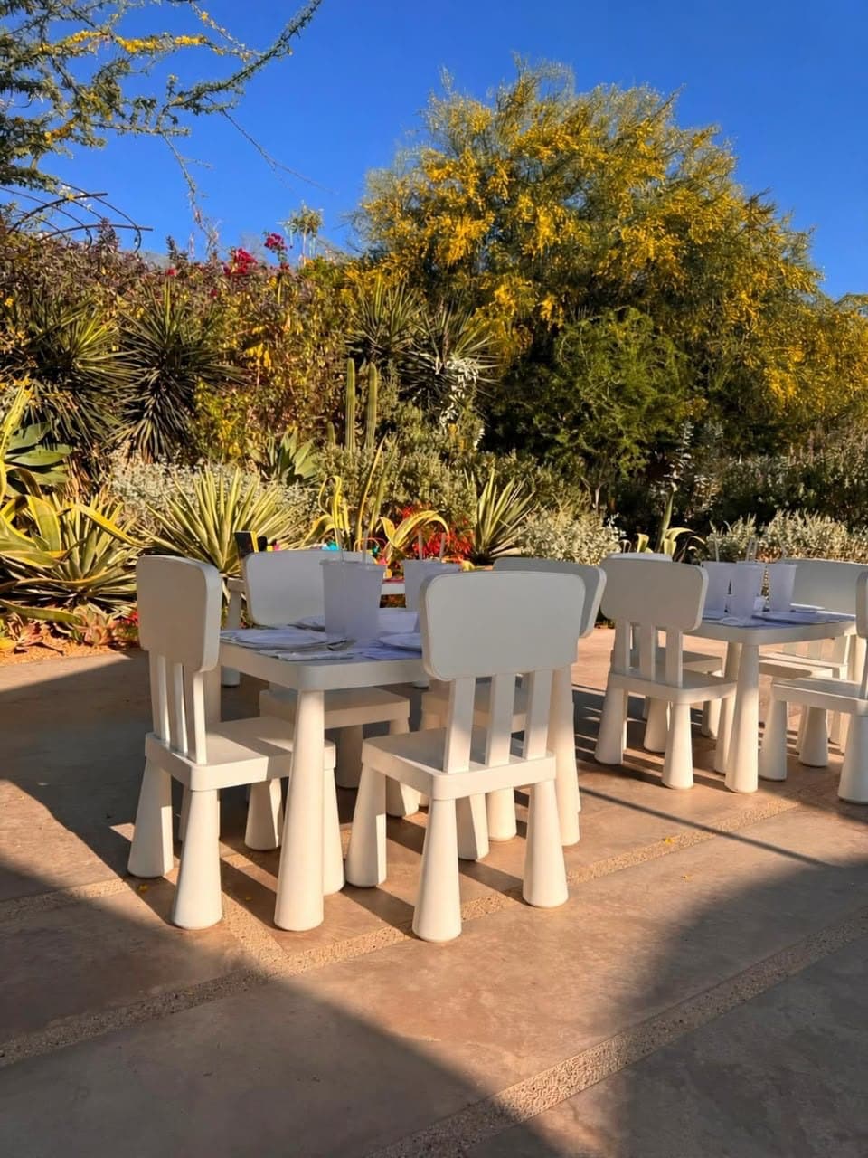 Mesita y Sillas in a garden